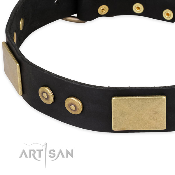 Handy use leather collar with rust resistant buckle and D-ring