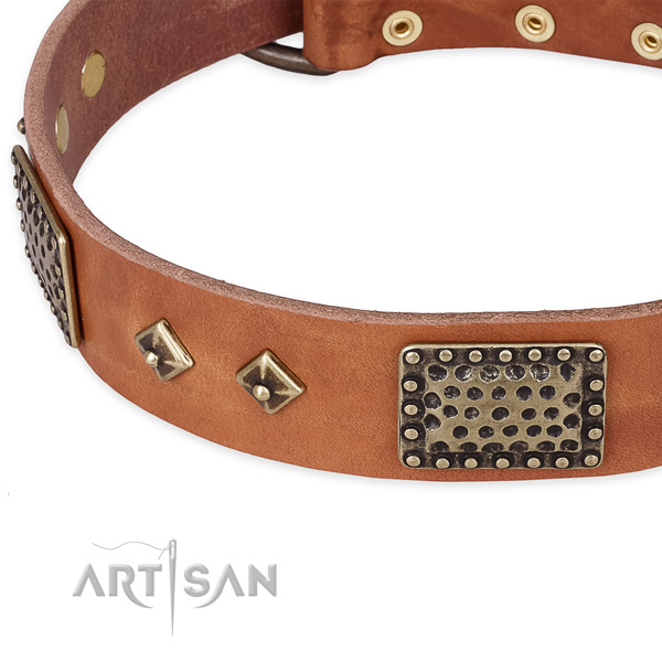 Walking genuine leather collar with rust resistant buckle and D-ring