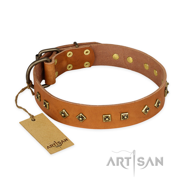 Incredible design decorations on leather dog collar