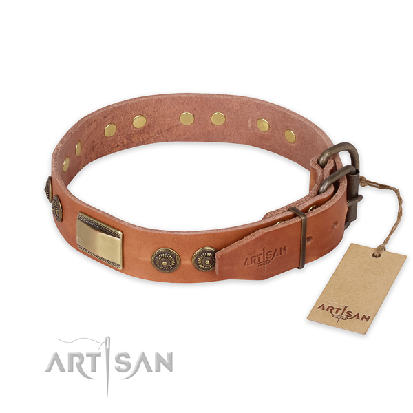 Daily use full grain leather collar with embellishments for your pet