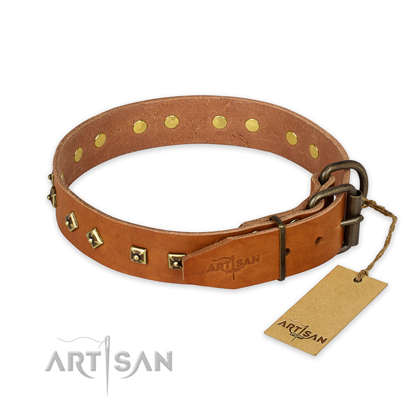 Everyday use full grain natural leather collar with adornments for your four-legged friend