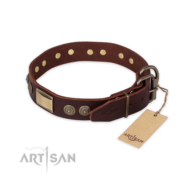 Everyday walking genuine leather collar with decorations for your four-legged friend