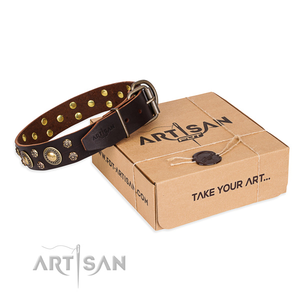 Casual style leather dog collar with refined decorations
