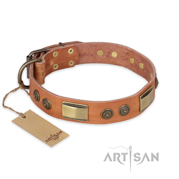 Unusual design decorations on full grain genuine leather dog collar