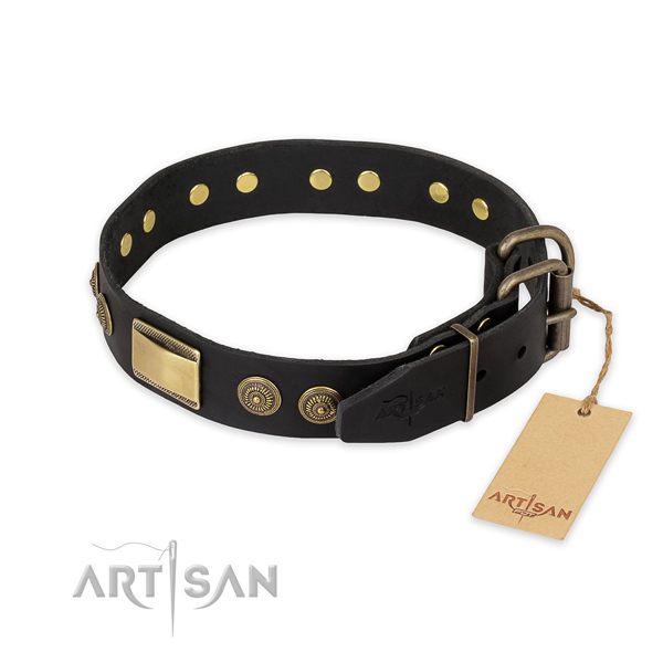 Stunning design adornments on full grain leather dog collar