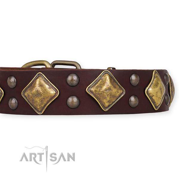 Easy to put on/off leather dog collar with extra strong non-rusting set of hardware