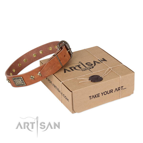 Fashionable leather dog collar for everyday use