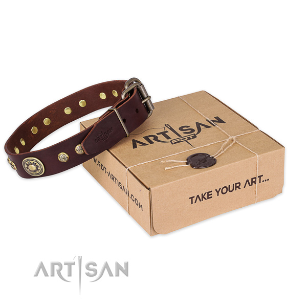 Finest quality full grain leather dog collar for daily use