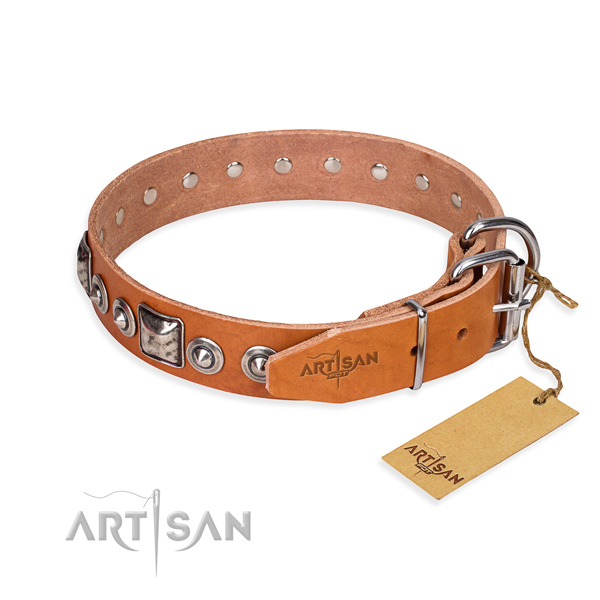 Functional leather collar for your noble canine