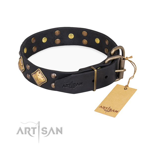 Everyday leather collar for your stunning pet