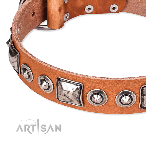 Snugly fitted leather dog collar with resistant durable hardware
