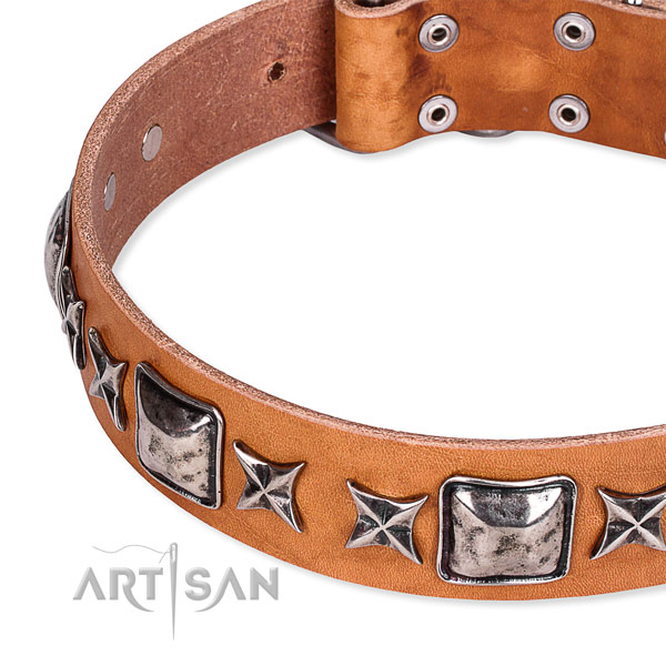 Quick to fasten leather dog collar with extra sturdy brass plated buckle