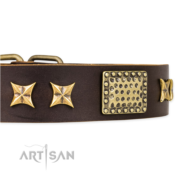Snugly fitted leather dog collar with resistant to tear and wear brass plated set of hardware