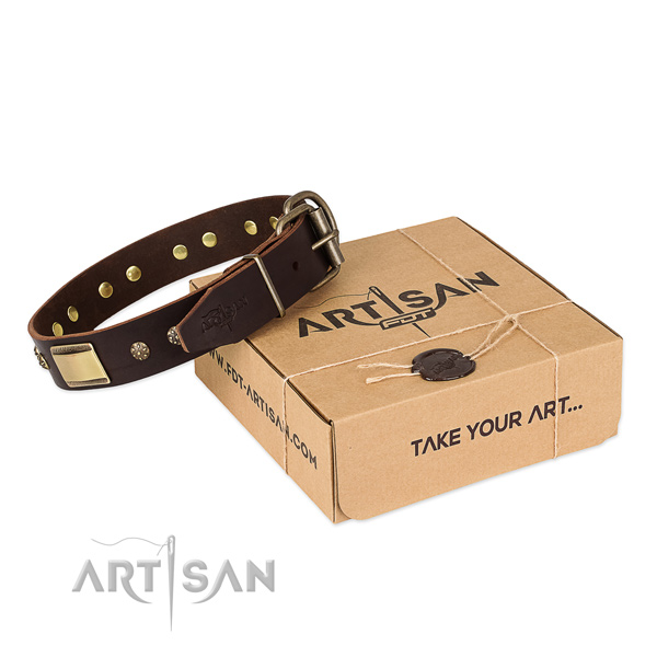High quality leather dog collar for daily use