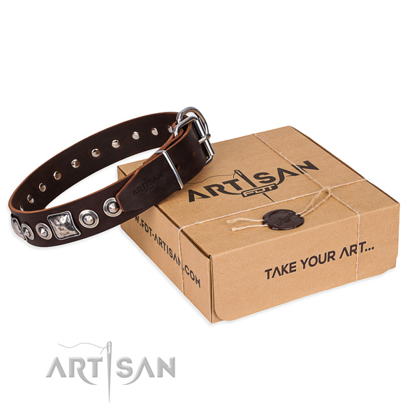 Trendy genuine leather dog collar for everyday use