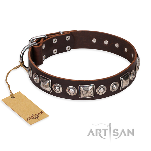 Resistant leather dog collar with sturdy details