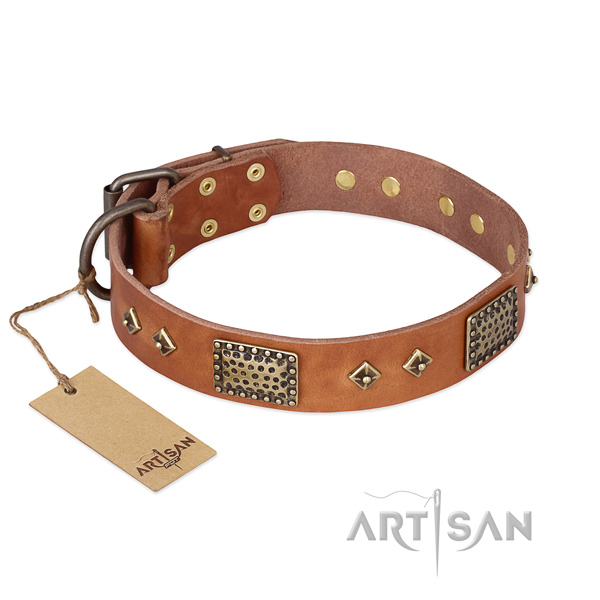 Unique design embellishments on full grain natural leather dog collar