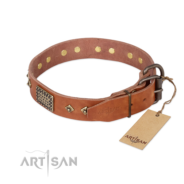 Everyday walking full grain natural leather collar with embellishments for your dog