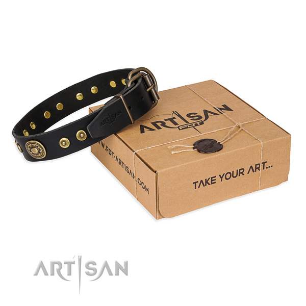 Fashionable full grain leather dog collar for walking in style