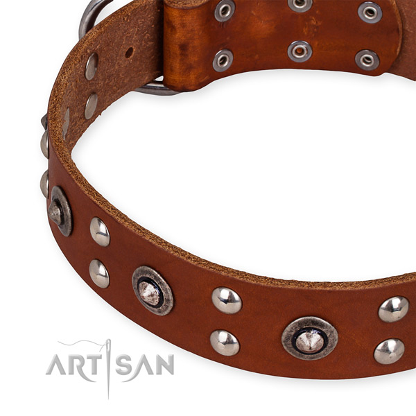 Easy to use leather dog collar with extra strong rust-proof buckle and D-ring