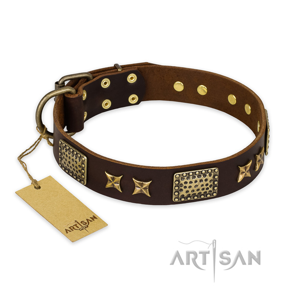 Unique design decorations on leather dog collar