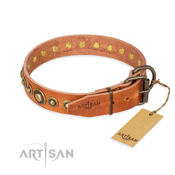 Everyday leather collar for your darling four-legged friend
