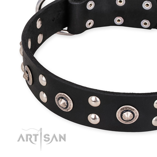 Easy to use leather dog collar with almost unbreakable chrome plated fittings