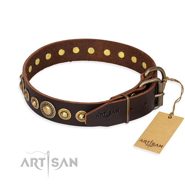 Daily leather collar for your stunning four-legged friend