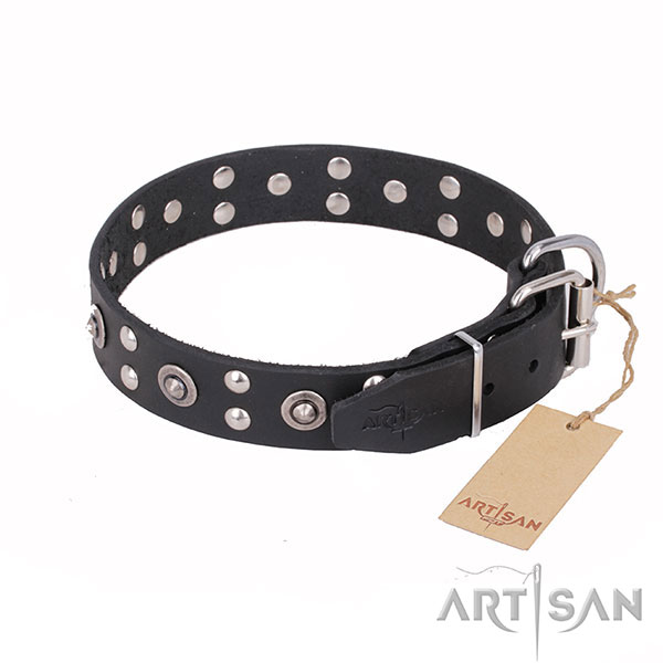 Everyday leather collar for your favourite pet