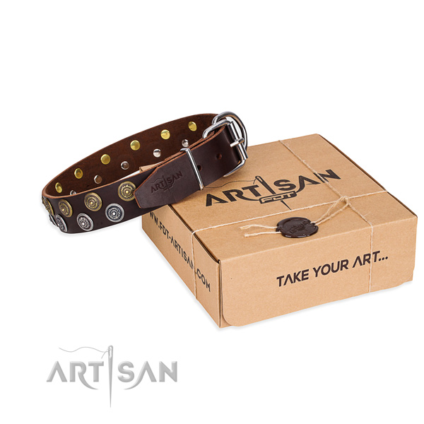 Casual style leather dog collar with exceptional embellishments