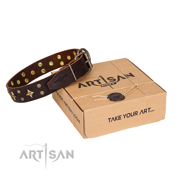 Stylish design full grain leather dog collar for walking in style