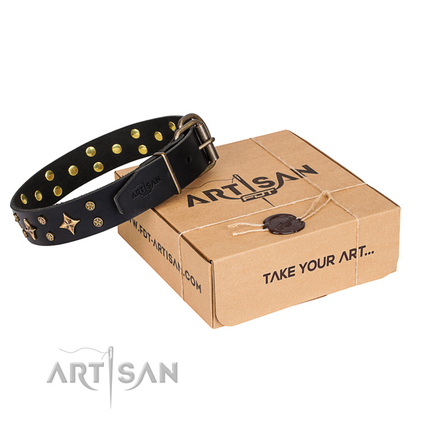 Fashionable leather dog collar for walking