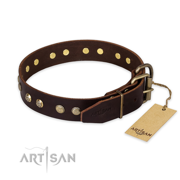 Daily walking full grain genuine leather collar with embellishments for your dog