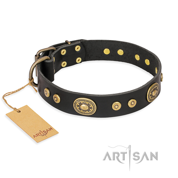 Hardwearing leather dog collar with sturdy hardware