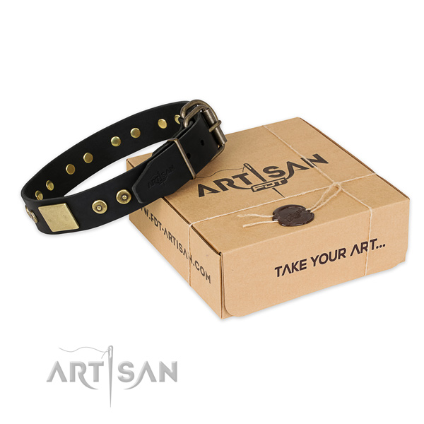 Top notch full grain natural leather dog collar for everyday walking