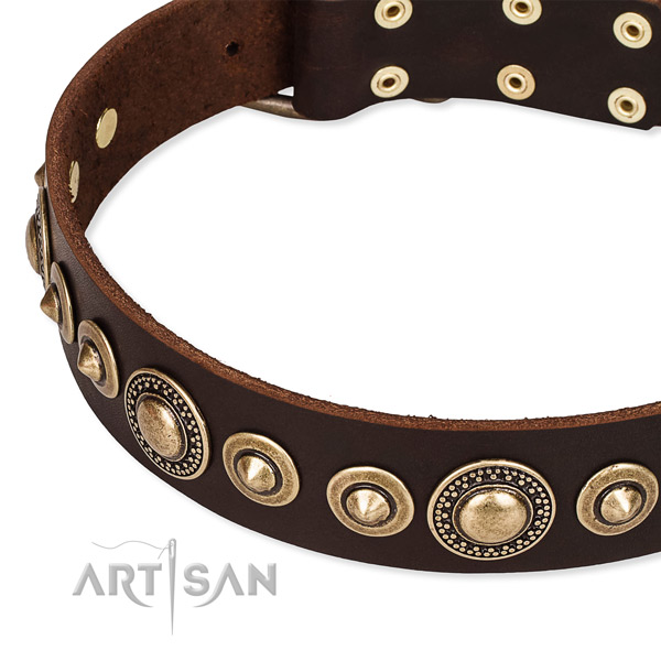 Easy to use leather dog collar with almost unbreakable non-rusting buckle and D-ring