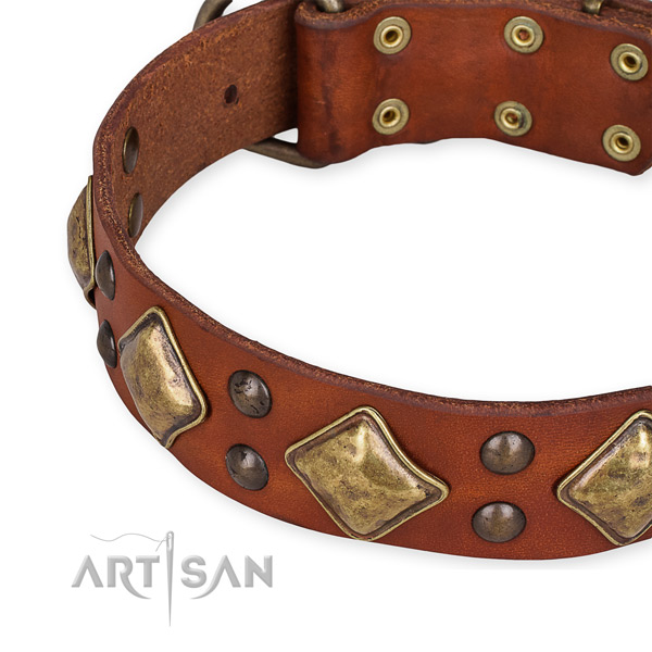 Easy to put on/off leather dog collar with resistant to tear and wear durable fittings
