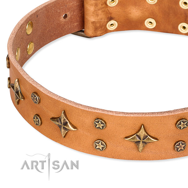 Quick to fasten leather dog collar with resistant to tear and wear rust-proof set of hardware