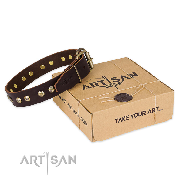 Perfect fit full grain genuine leather dog collar for daily use