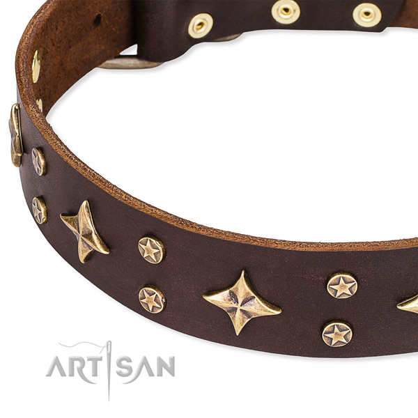 Snugly fitted leather dog collar with resistant to tear and wear durable fittings