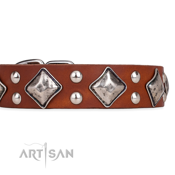 Easy to adjust leather dog collar with extra sturdy brass plated fittings