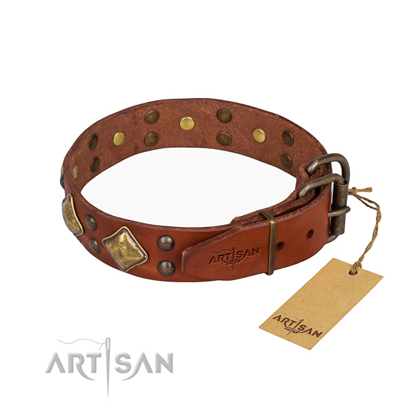 Awesome leather collar for your handsome canine