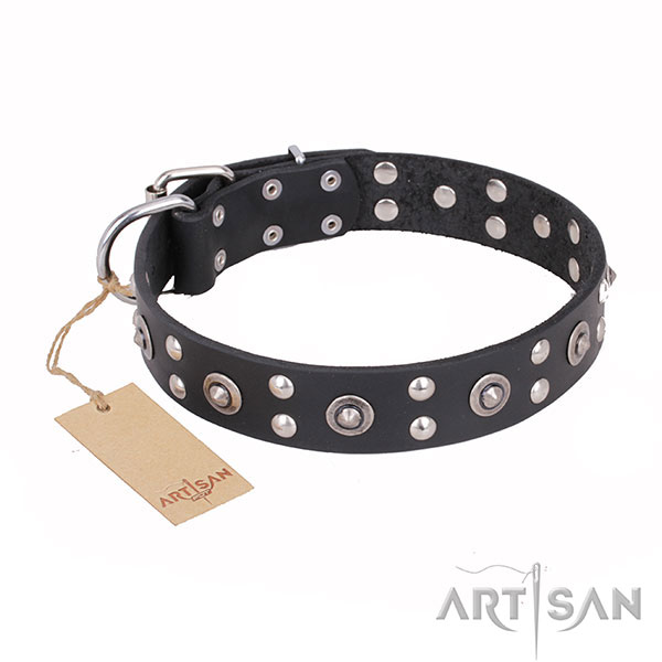 Significant design studs on full grain natural leather dog collar