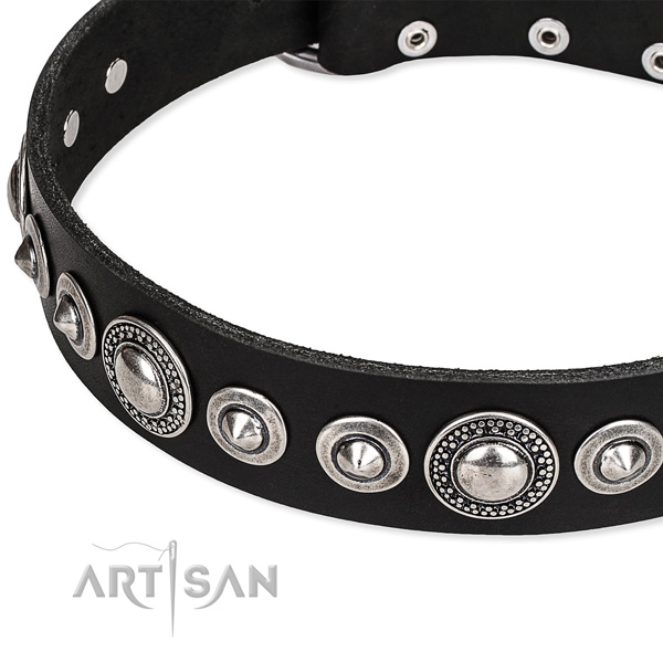 Adjustable leather Pitbull collar with extra strong non-rusting set of hardware