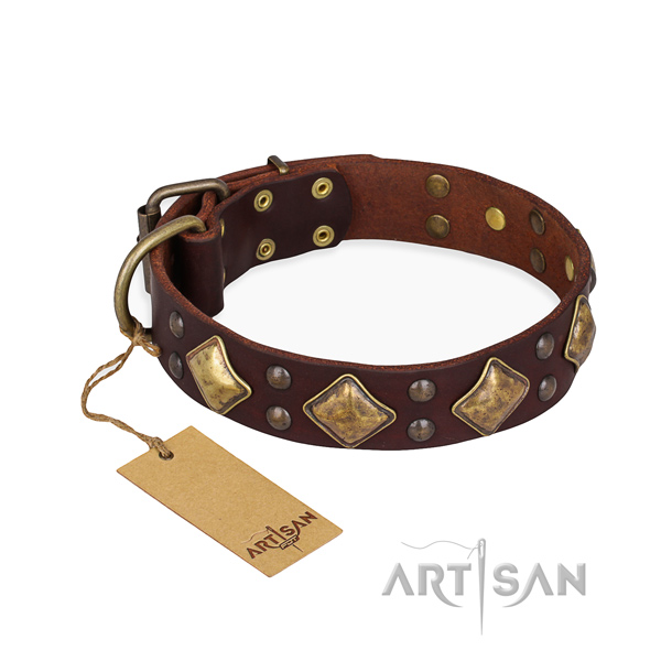 Stunning design studs on full grain natural leather dog collar