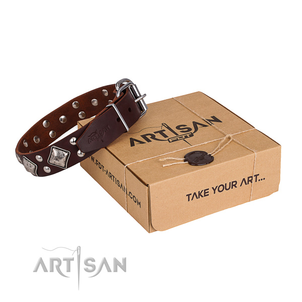 Top notch full grain natural leather dog collar for walking