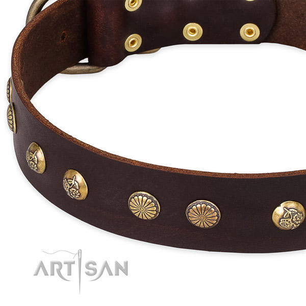 Quick to fasten leather dog collar with almost unbreakable durable hardware
