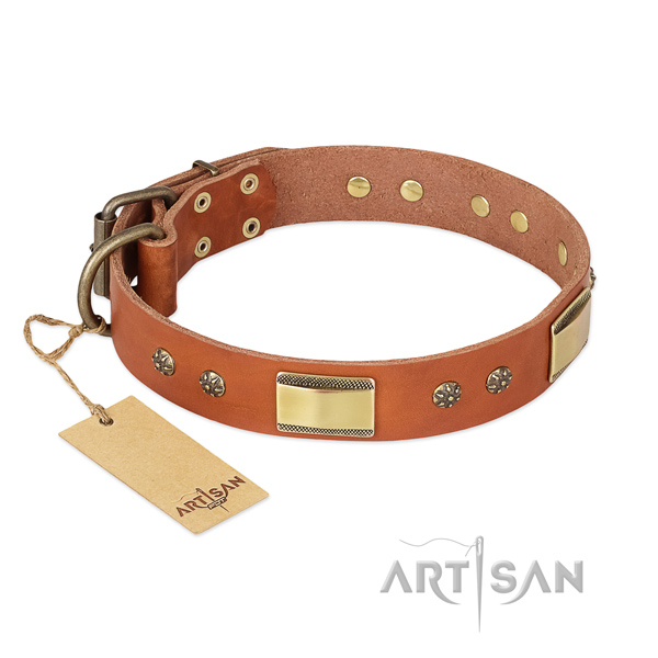 Awesome design embellishments on natural genuine leather dog collar