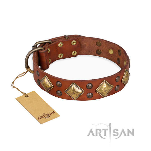Amazing design studs on leather dog collar