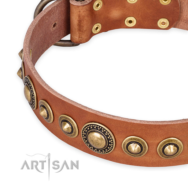 Easy to use leather dog collar with almost unbreakable old bronze-like plated set of hardware